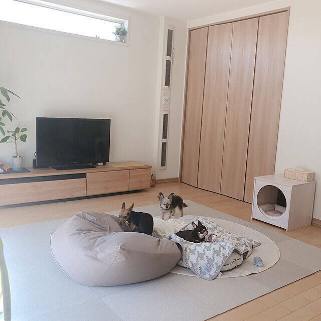 ペットも大事な家族♡人もペットも快適に過ごせるリビングの風景