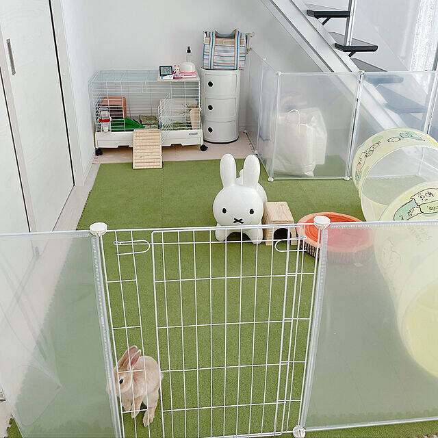 ペットも大事な家族♡人もペットも快適に過ごせるリビングの風景