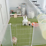 「ペットも大事な家族♡人もペットも快適に過ごせるリビングの風景」の画像9