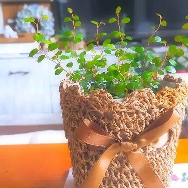 「【みんなが選んだ！】飾るだけでおしゃれ空間に♪THREEPPYの植物まわりのアイテム5選」の画像