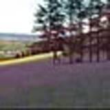 「自分らしく上質な暮らしを。KANADEMONOのテーブルがあるお部屋実例」の画像5