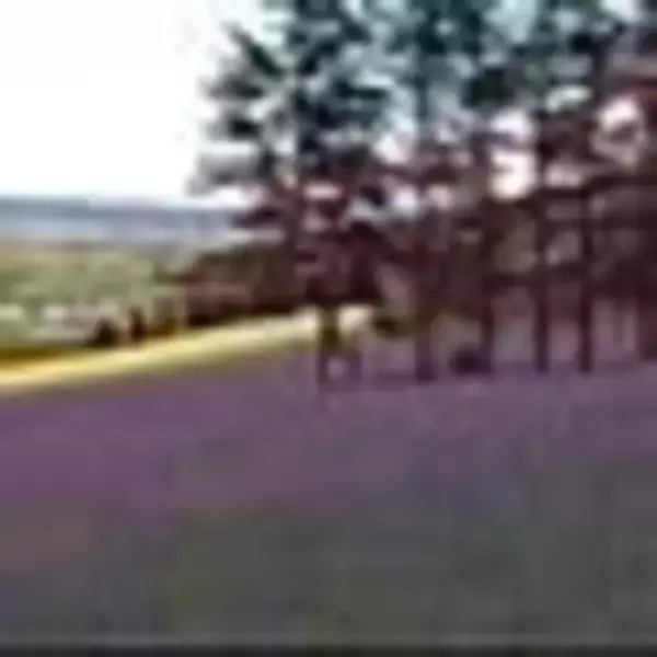 「自分らしく上質な暮らしを。KANADEMONOのテーブルがあるお部屋実例」の画像