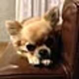 「自分らしく上質な暮らしを。KANADEMONOのテーブルがあるお部屋実例」の画像7