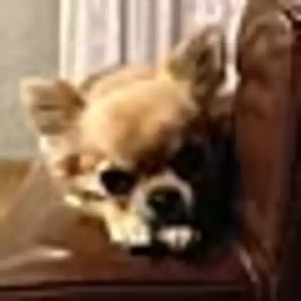 「自分らしく上質な暮らしを。KANADEMONOのテーブルがあるお部屋実例」の画像