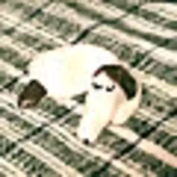 「自分らしく上質な暮らしを。KANADEMONOのテーブルがあるお部屋実例」の画像