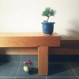 「まさに生きているアート！身近に自然を感じられる盆栽のある暮らし」の画像3