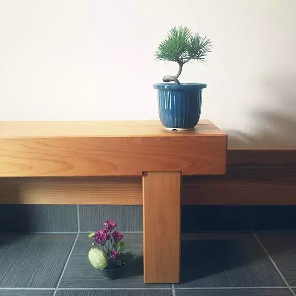 「まさに生きているアート！身近に自然を感じられる盆栽のある暮らし」の画像