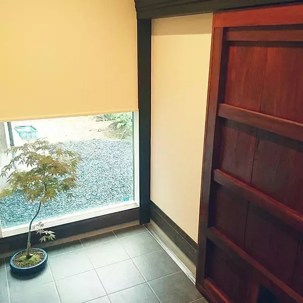 「まさに生きているアート！身近に自然を感じられる盆栽のある暮らし」の画像