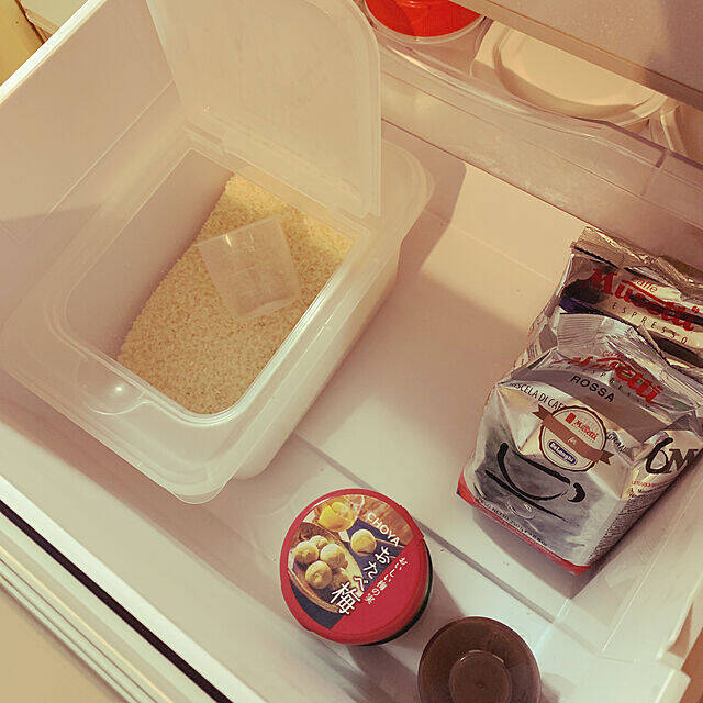 いろんな野菜を整理整頓♪冷蔵庫の野菜室のわかりやすい収納アイディア