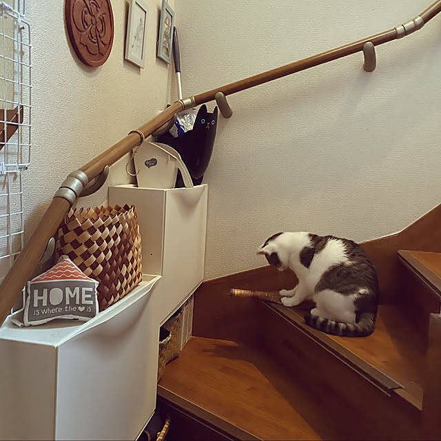 スリムな形状を活かして場所を選ばず整える。IKEA「TRONES」の靴以外の収納アイデア6選