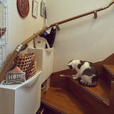 「スリムな形状を活かして場所を選ばず整える。IKEA「TRONES」の靴以外の収納アイデア6選」の画像6