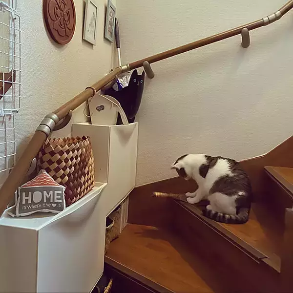 「スリムな形状を活かして場所を選ばず整える。IKEA「TRONES」の靴以外の収納アイデア6選」の画像