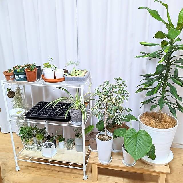 お家のどこでも見栄えばっちりな収納を作る。ニトリのオープンラック