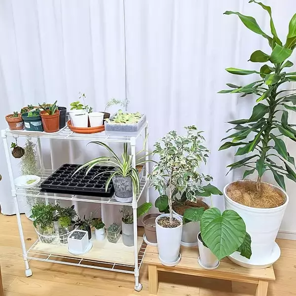 「お家のどこでも見栄えばっちりな収納を作る。ニトリのオープンラック」の画像