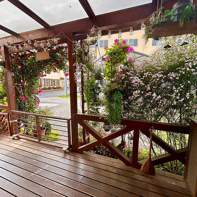 【今週の〇〇】テーマは「家事掃除」！最新の投稿写真をピックアップ