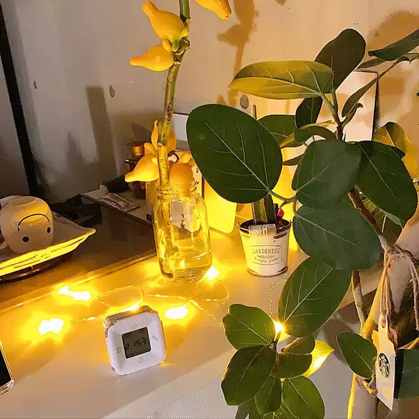 「「21m2。瑞々しいグリーンと赤が映える、透明感を楽しむナチュラルなお部屋」 by olive18さん」の画像