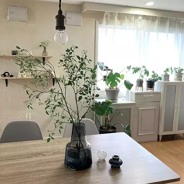 「大好き北欧インテリア♡3タイプでチェックするリビング＆ダイニング実例」の画像