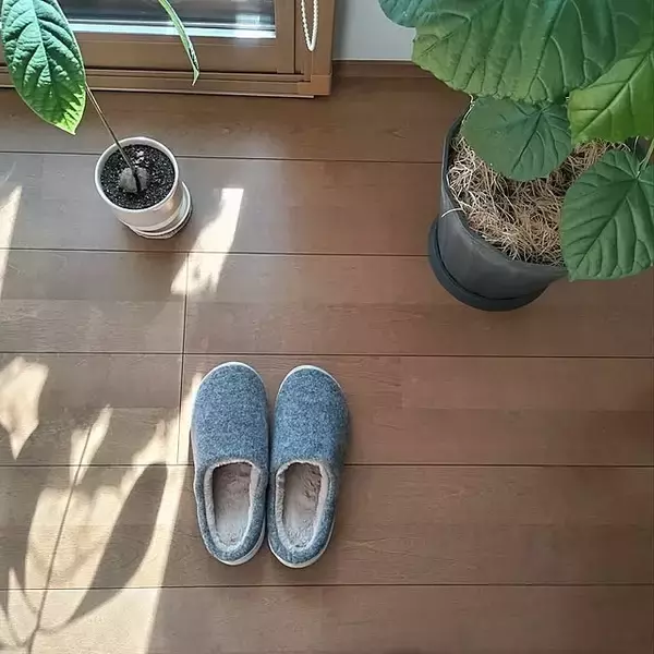 シンプル・洗える・ふわふわまで幅広く選べる！履き心地抜群でデザイン豊富なニトリのスリッパ