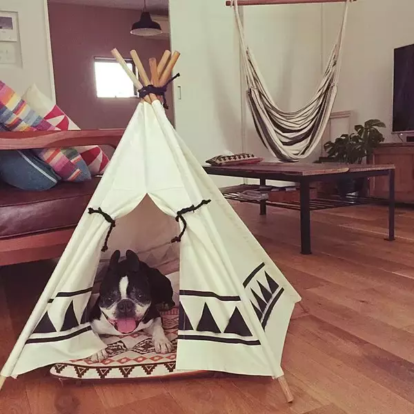 「帆布・キャンバスでDIY！素材を活かした手作りアイテムのアイディア」の画像