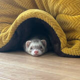 「「知る・試す・つくる！で整えていく、暮らしに合った収納」 by chillforemanpastlifeさん」の画像3