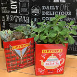 「好きなデザインで気持ちも上がる♡お菓子や紅茶の缶を活用するアイデア10選」の画像3