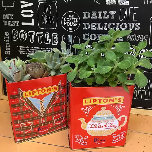 「好きなデザインで気持ちも上がる♡お菓子や紅茶の缶を活用するアイデア10選」の画像