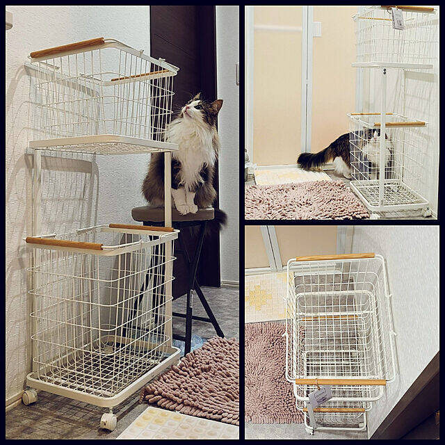 毎日がんばることだからこそ便利なものを♪家事がラクになるアイテム