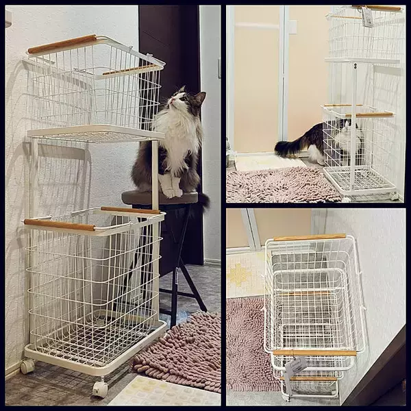 「毎日がんばることだからこそ便利なものを♪家事がラクになるアイテム」の画像