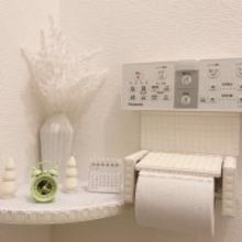 100円ショップのアイテムで劇的変身！チャレンジしてみたいトイレのDIYアイデア集