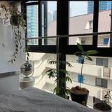 「「34m2。自分の為になる、ワクワクと安心感が共存する部屋」 by dethtroyさん」の画像4