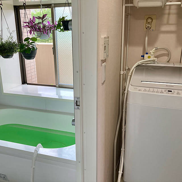 【今週の〇〇】テーマは「家事・掃除」！最新の投稿写真をピックアップ