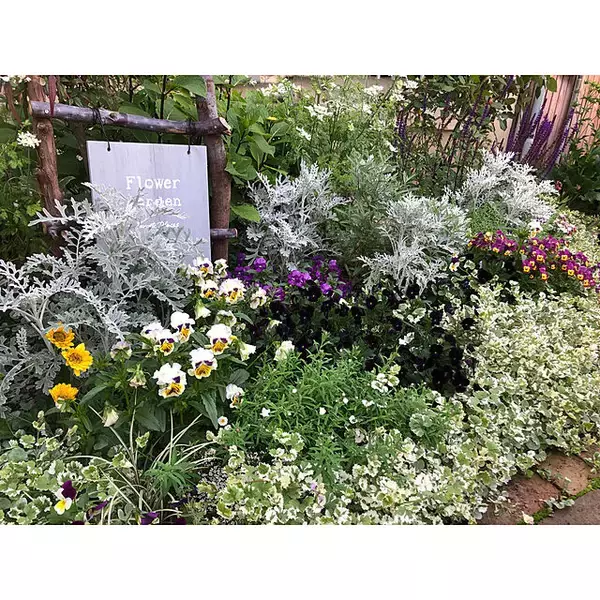 「草花の魅力を最大限に引き出す！DIYで作った理想のお庭10選」の画像