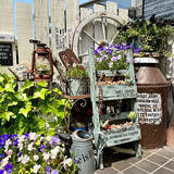 「草花の魅力を最大限に引き出す！DIYで作った理想のお庭10選」の画像3