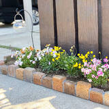 「草花の魅力を最大限に引き出す！DIYで作った理想のお庭10選」の画像6