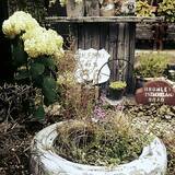 「草花の魅力を最大限に引き出す！DIYで作った理想のお庭10選」の画像7