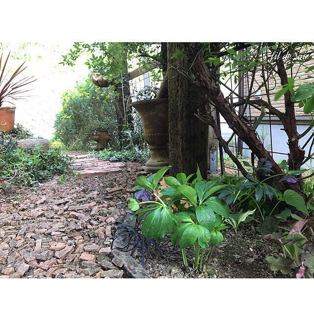 草花の魅力を最大限に引き出す！DIYで作った理想のお庭10選