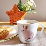 「今日はおうちでリラックス♡ニトリのおうちカフェに活用したいアイテム」の画像2