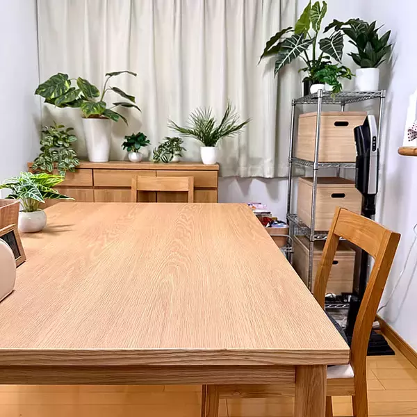「「グリーンの魅力を引き出す引き算のディスプレイ。余白を活かした心地よい住まい」 by sakura-51さん」の画像
