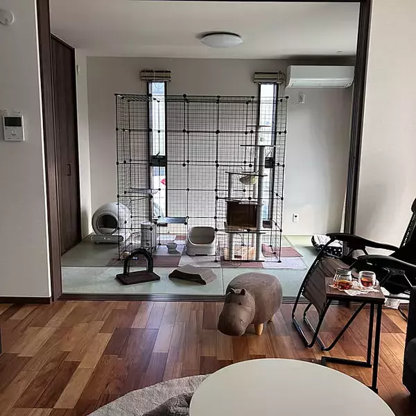 「【今週の〇〇】テーマは「リビング」！最新の投稿写真をピックアップ」の画像