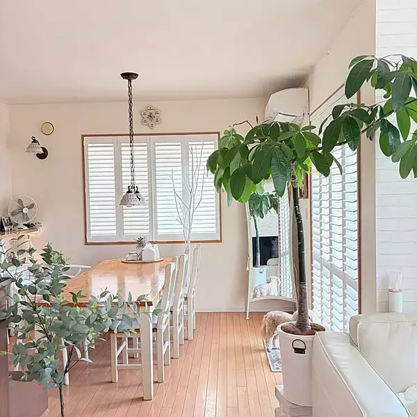 「【今週の〇〇】テーマは「リビング」！最新の投稿写真をピックアップ」の画像