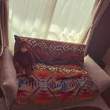 「ボディケアからお気に入りの家具まで見つかる♪コストコの暮らしにフィットするアイテムをご紹介」の画像7