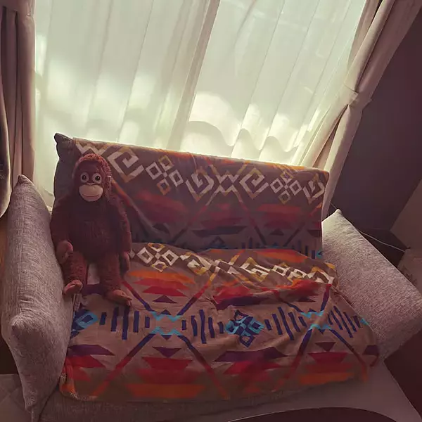 「ボディケアからお気に入りの家具まで見つかる♪コストコの暮らしにフィットするアイテムをご紹介」の画像