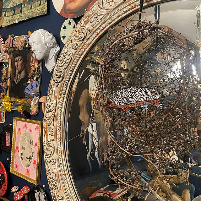 ボディケアからお気に入りの家具まで見つかる♪コストコの暮らしにフィットするアイテムをご紹介