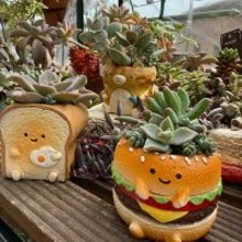 【今週の〇〇】テーマは「植物のある暮らし」！最新の投稿写真をピックアップ