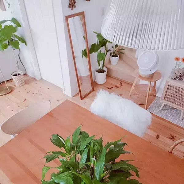 「【今週の〇〇】テーマは「植物のある暮らし」！最新の投稿写真をピックアップ」の画像