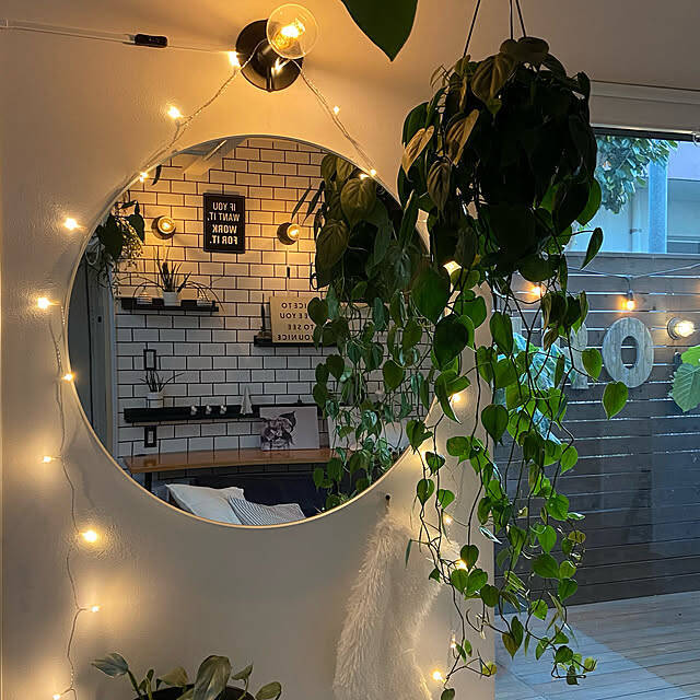 お部屋に彩りと癒しをプラス♡IKEAの雑貨アイテム集めました
