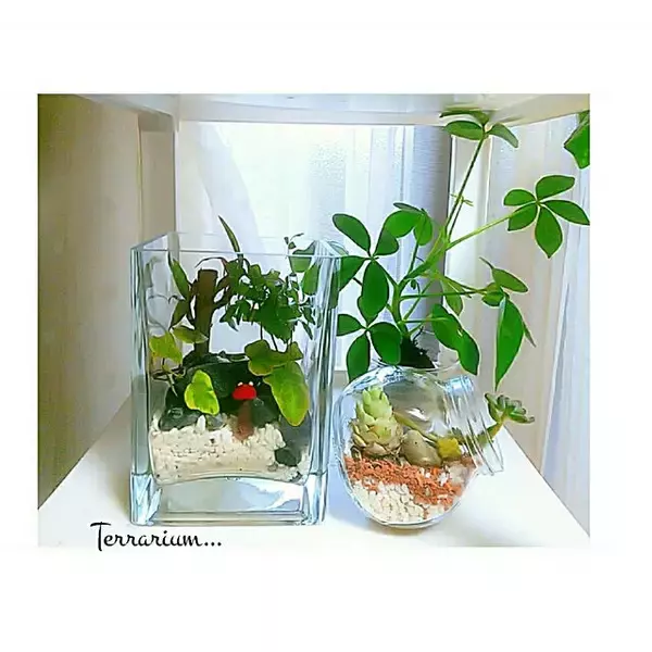 「魅力的なデザインで輝く日常に！IKEAのガラス製品で楽しむインテリア」の画像