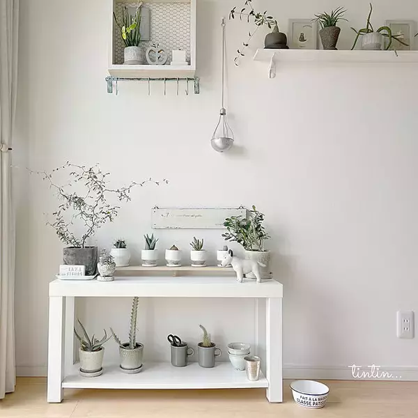 「「日々への愛おしさが増す、陽だまりのような白い家」 by tintinさん」の画像