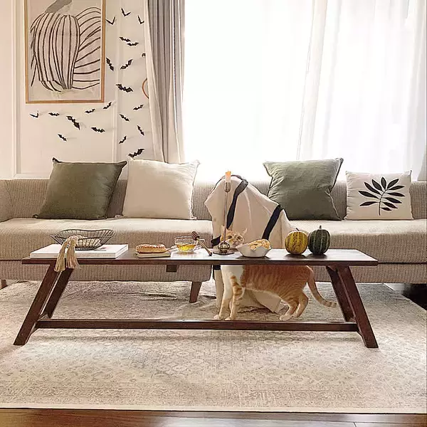 「穏やか空間で暮らしに優しさを。ZARA HOMEを取り入れたインテリア実例集」の画像