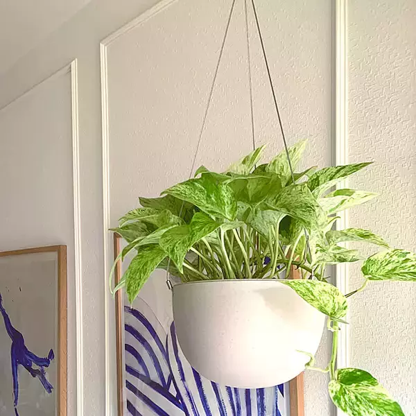 「KINTOでワンランク上の上質なライフスタイルを。ユーザーさんのおすすめアイテムをご紹介」の画像